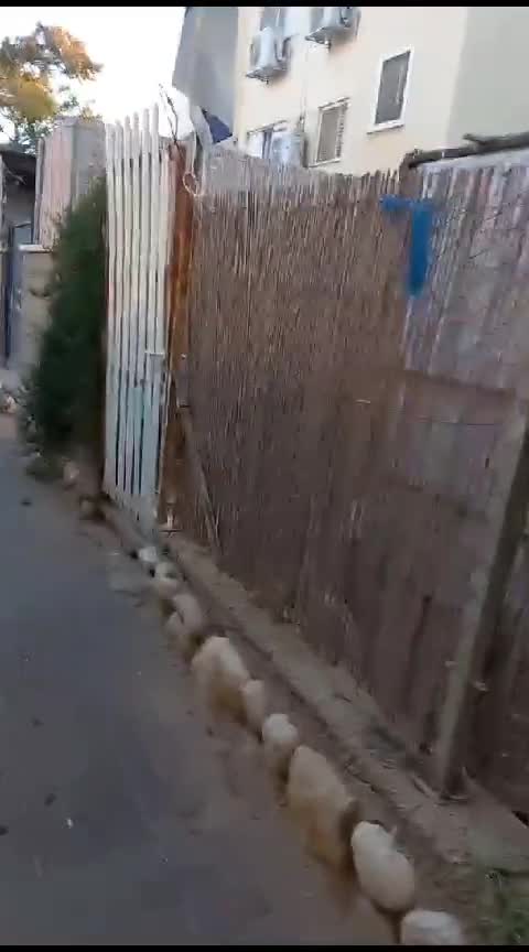 WhatsApp Video 2023-10-16 at 11.05.01 (3).mp4